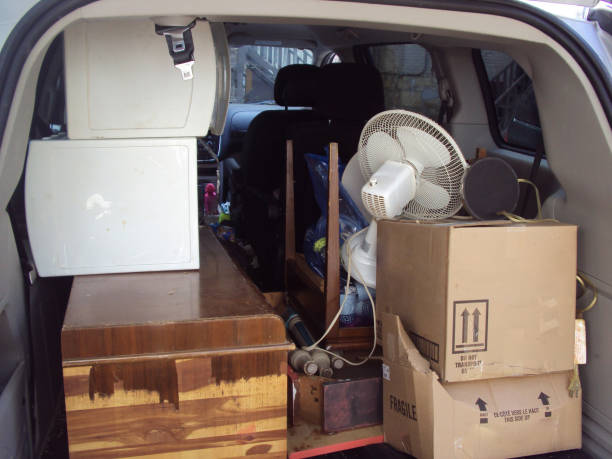 Best Hoarding Cleanup  in Palmer Ranch, FL